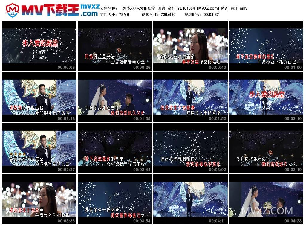 王海龙-步入爱的殿堂_国语_流行_YE101084